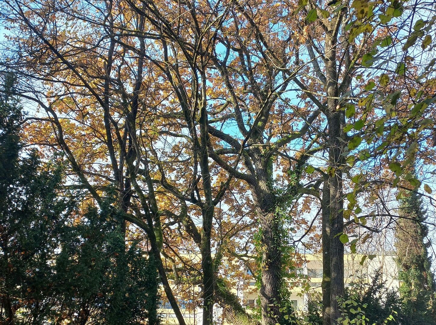 3 bedroom flat for sale, 78 m², Bergstraße 16, Krailling, Bavaria 3 bedroom flat for sale, 78 m², Bergstraße 16, Krailling, Bavaria