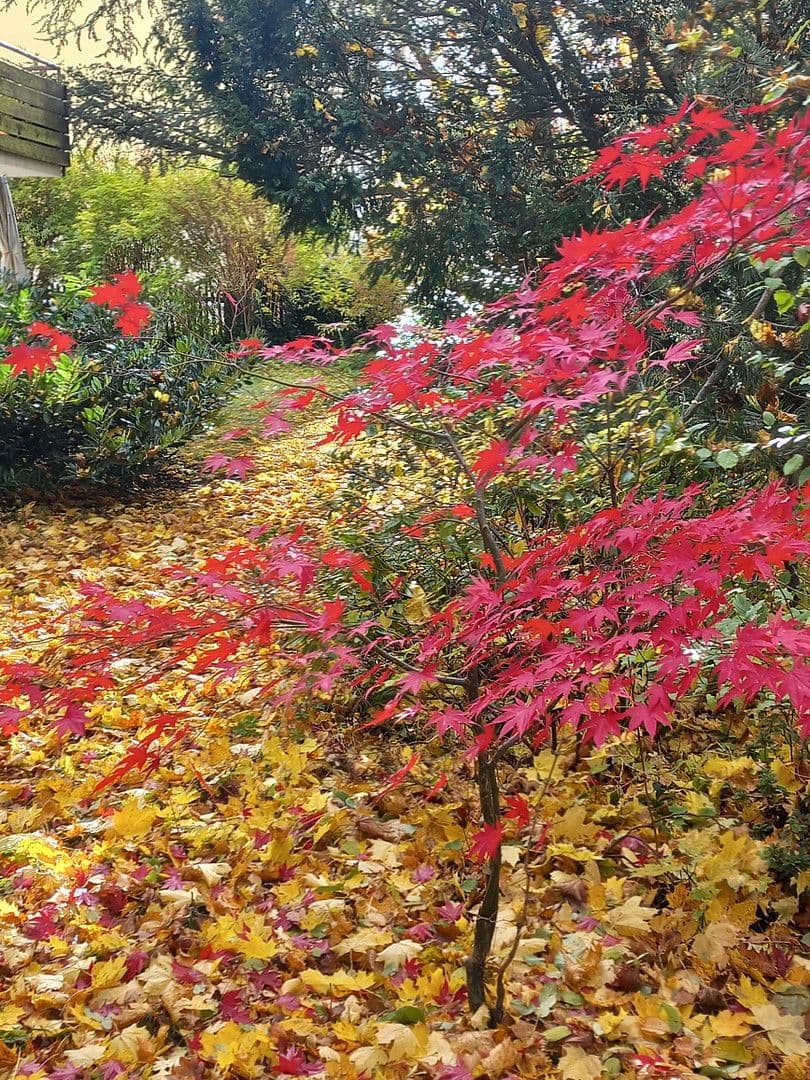 3 bedroom flat for sale, 78 m², Bergstraße 16, Krailling, Bavaria 3 bedroom flat for sale, 78 m², Bergstraße 16, Krailling, Bavaria