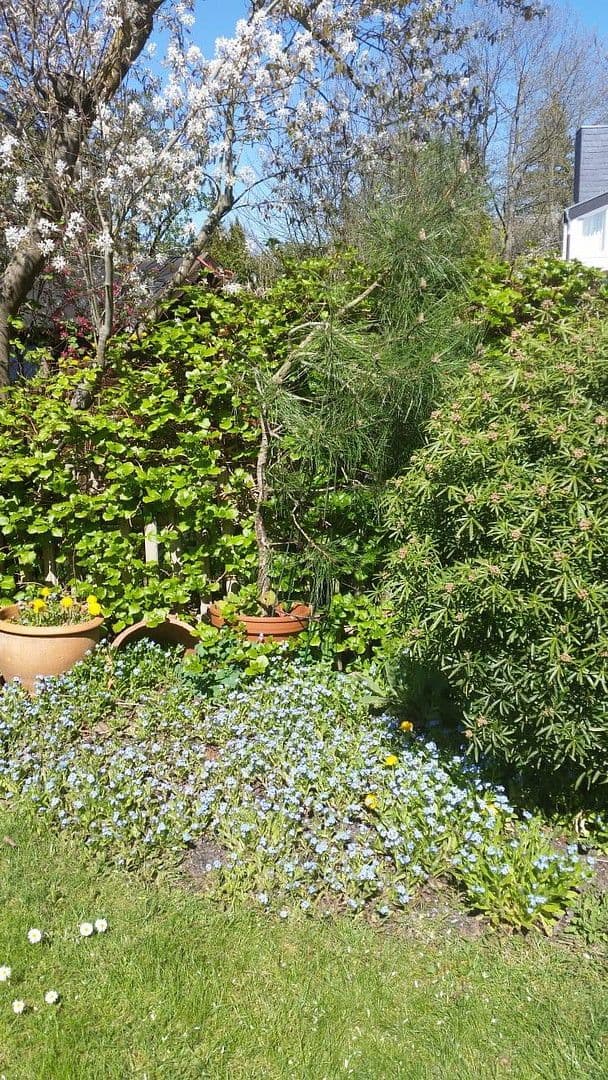 house to rent, 143 m², Fröbelstraße 10, Burgwedel, Lower Saxony house to rent, 143 m², Fröbelstraße 10, Burgwedel, Lower Saxony