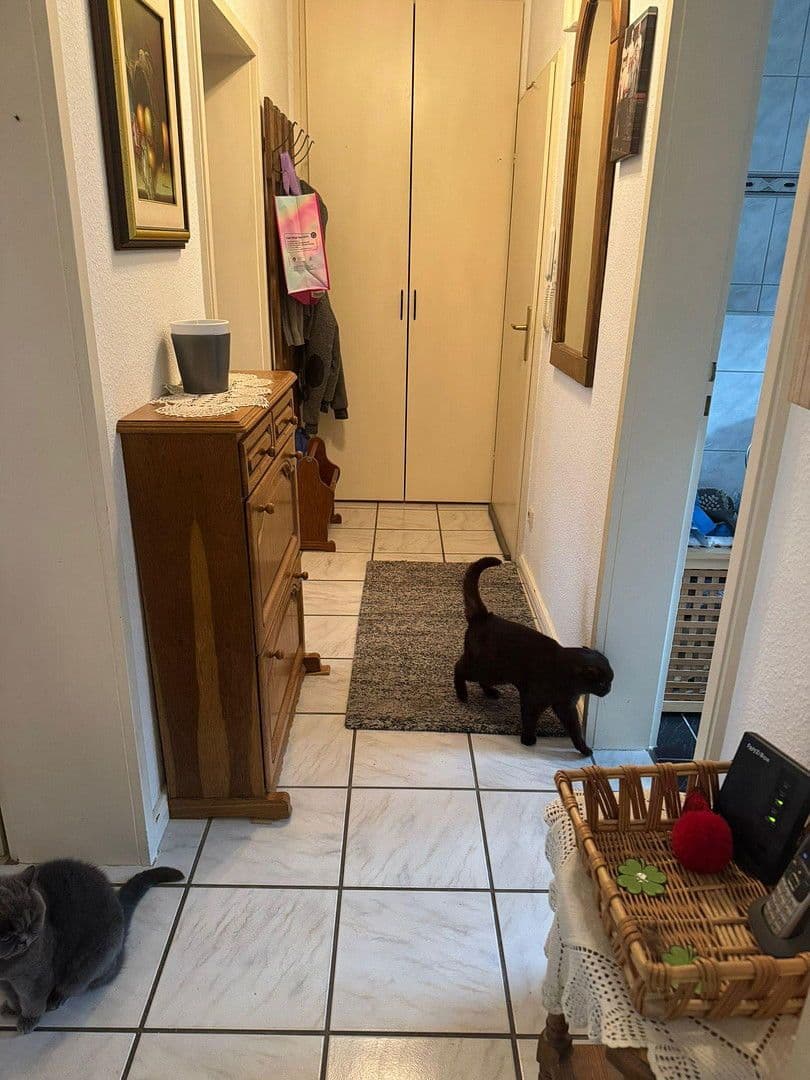 2 bedroom flat to rent, 75 m², Dammerstraße 144, Mönchengladbach, North Rhine-Westphalia 2 bedroom flat to rent, 75 m², Dammerstraße 144, Mönchengladbach, North Rhine-Westphalia