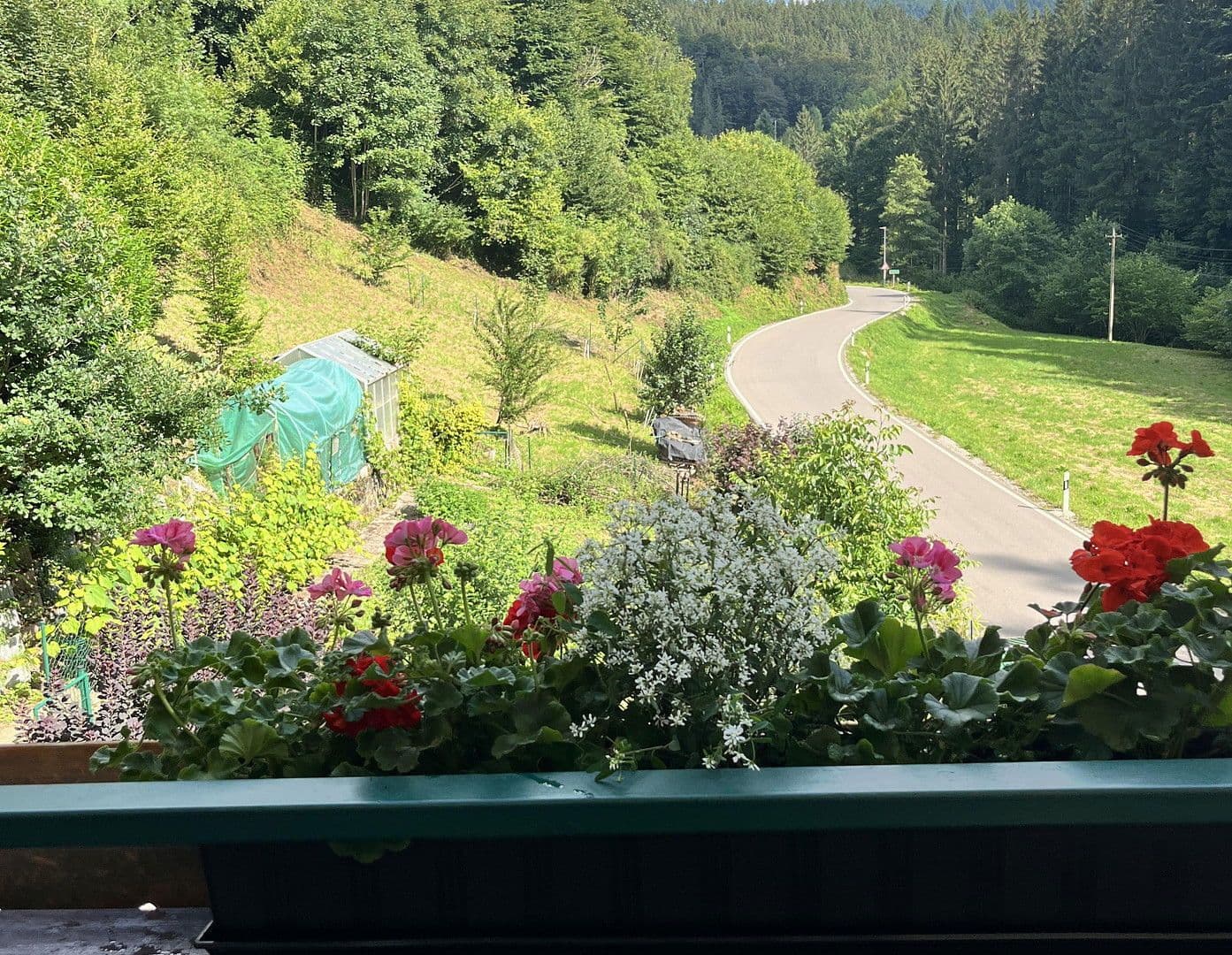 house for sale, 263 m², Wildschapbachstraße 6, Bad Rippoldsau-Schapbach, Baden-Württemberg house for sale, 263 m², Wildschapbachstraße 6, Bad Rippoldsau-Schapbach, Baden-Württemberg