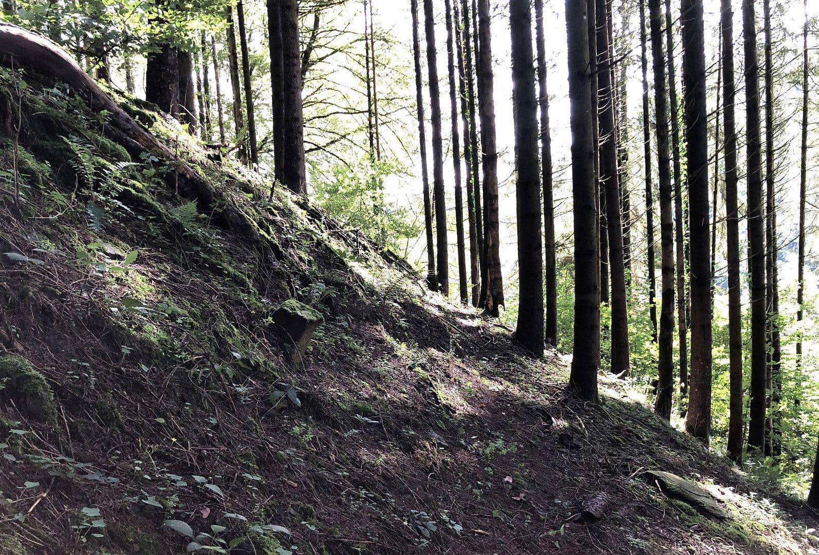 house for sale, 263 m², Wildschapbachstraße 6, Bad Rippoldsau-Schapbach, Baden-Württemberg house for sale, 263 m², Wildschapbachstraße 6, Bad Rippoldsau-Schapbach, Baden-Württemberg