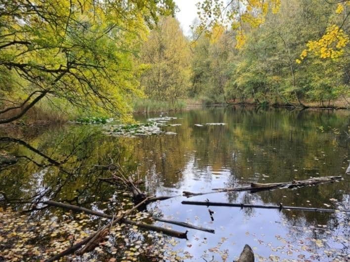 house for sale, 111 m², Wulmstorfer Ring, Hamburg, Hamburg house for sale, 111 m², Wulmstorfer Ring, Hamburg, Hamburg