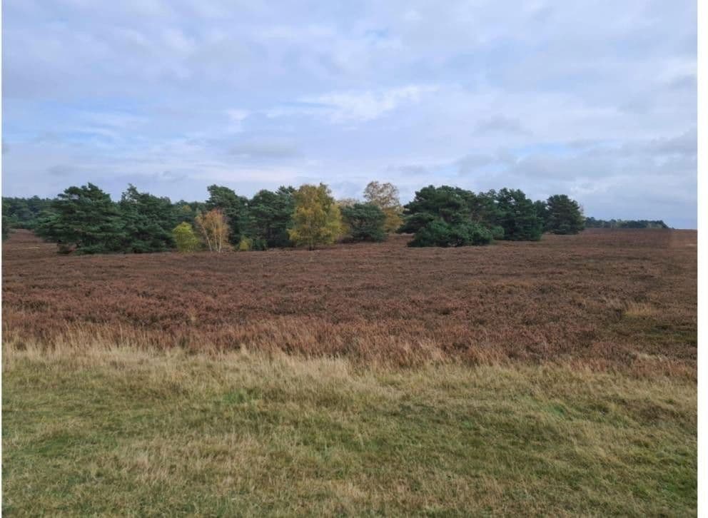 house for sale, 111 m², Wulmstorfer Ring, Hamburg, Hamburg house for sale, 111 m², Wulmstorfer Ring, Hamburg, Hamburg