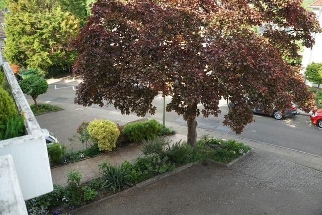 4 bedroom flat for sale, 147 m², Habichtstr. 25, Essen, North Rhine-Westphalia 4 bedroom flat for sale, 147 m², Habichtstr. 25, Essen, North Rhine-Westphalia