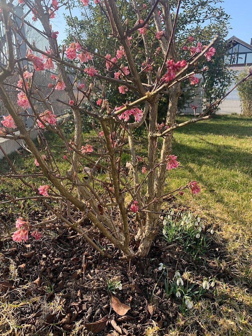 house for sale, 150 m², Kirchentellinsfurt, Baden-Württemberg house for sale, 150 m², Kirchentellinsfurt, Baden-Württemberg