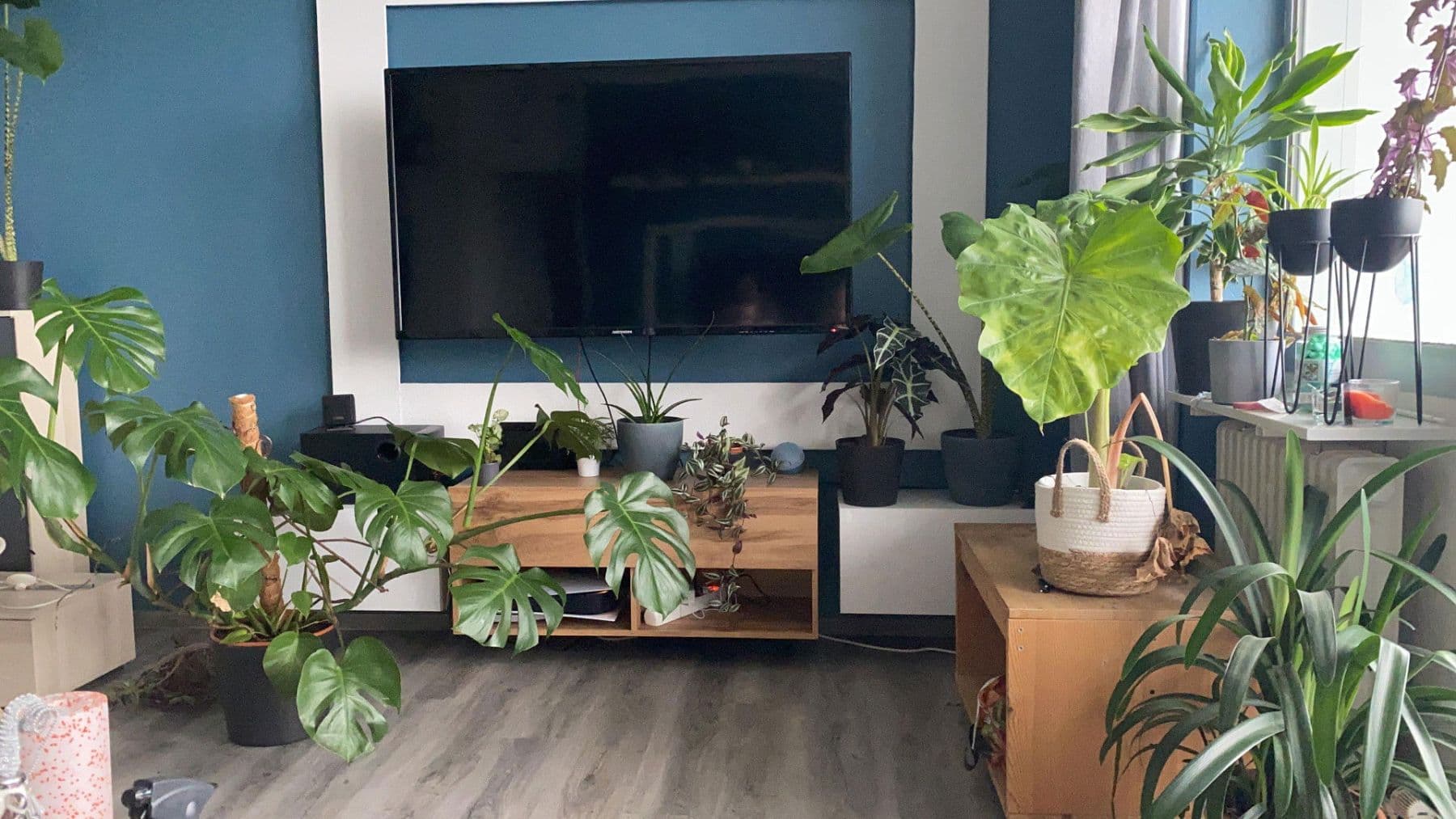 1 bedroom with open-plan kitchen flat for sale, 69 m², Nelkenstrasse 3, Buseck, Hesse 1 bedroom with open-plan kitchen flat for sale, 69 m², Nelkenstrasse 3, Buseck, Hesse