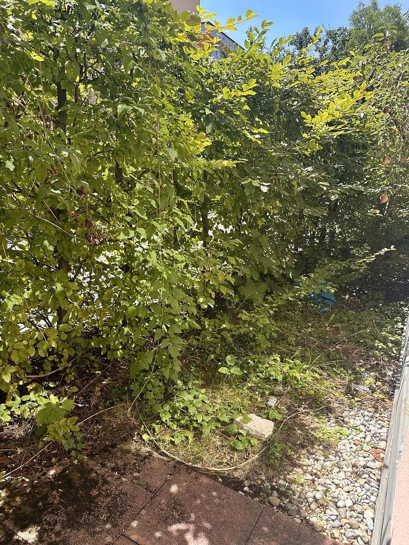 flat to rent, 18 m², München, Bavaria flat to rent, 18 m², München, Bavaria