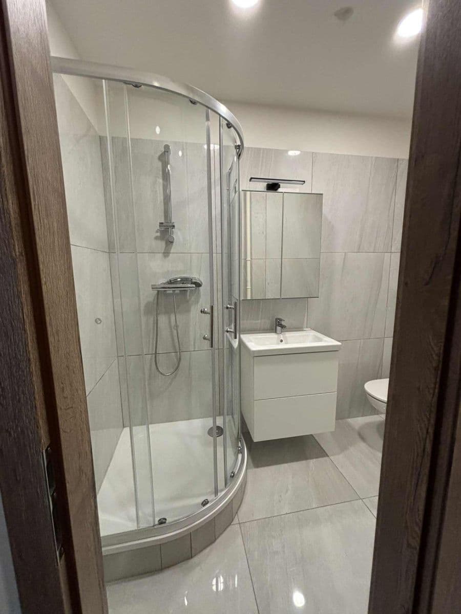 1 bedroom with open-plan kitchen flat to rent, 53 m², Jihlavská, Prague, Prague 1 bedroom with open-plan kitchen flat to rent, 53 m², Jihlavská, Prague, Prague