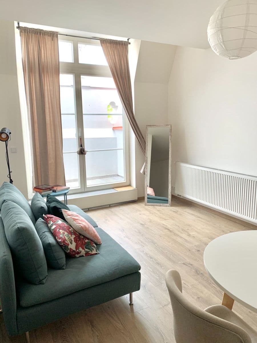 1 bedroom with open-plan kitchen flat to rent, 50 m², Šaldova, Prague, Prague 1 bedroom with open-plan kitchen flat to rent, 50 m², Šaldova, Prague, Prague