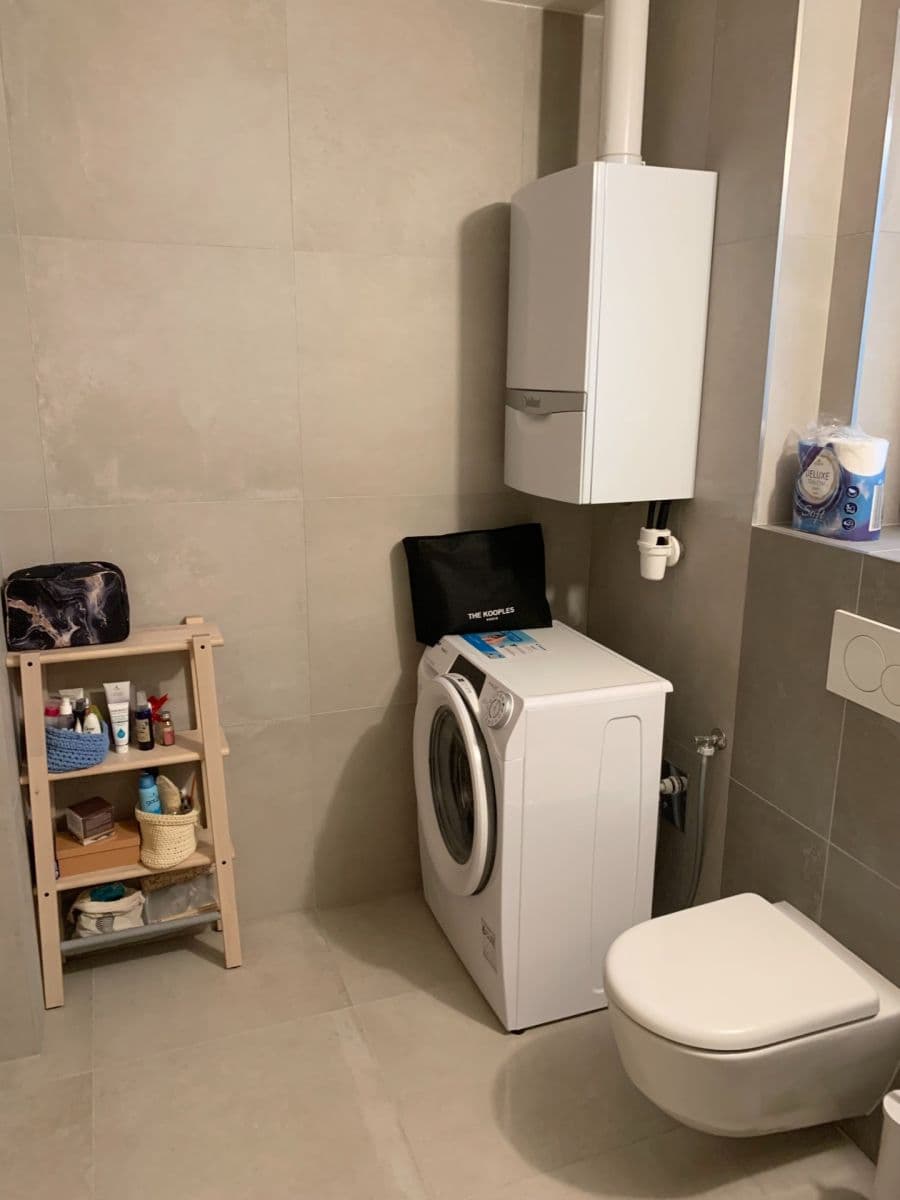 1 bedroom with open-plan kitchen flat to rent, 50 m², Šaldova, Prague, Prague 1 bedroom with open-plan kitchen flat to rent, 50 m², Šaldova, Prague, Prague