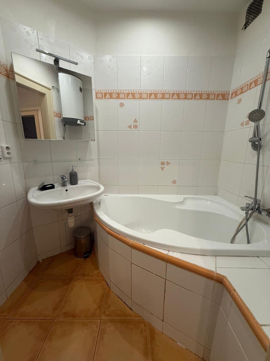 1 bedroom with open-plan kitchen flat to rent, 52 m², Viktorinova, Prague, Prague 1 bedroom with open-plan kitchen flat to rent, 52 m², Viktorinova, Prague, Prague