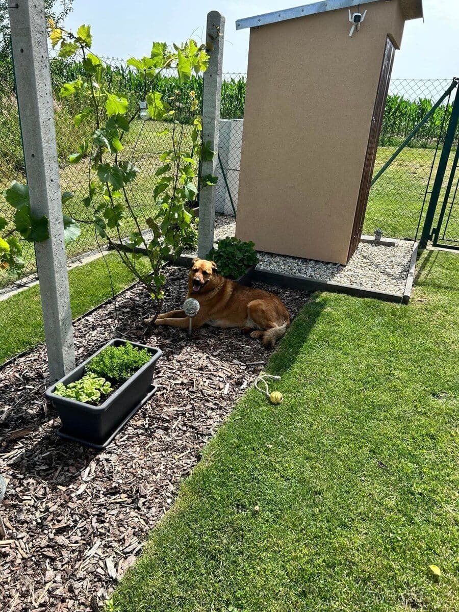 recreational property for sale, 340 m², 401, Lipník, Vysočina Region recreational property for sale, 340 m², 401, Lipník, Vysočina Region