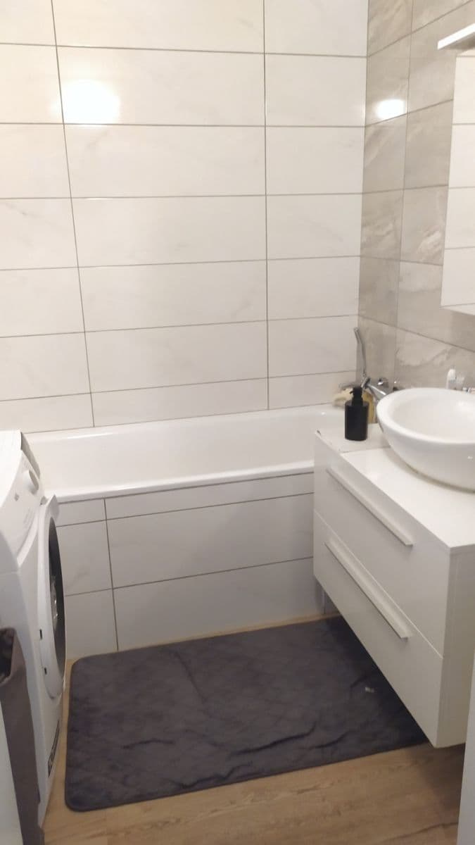 1 bedroom with open-plan kitchen flat to rent, 60 m², Na Břehu, Prague, Prague 1 bedroom with open-plan kitchen flat to rent, 60 m², Na Břehu, Prague, Prague