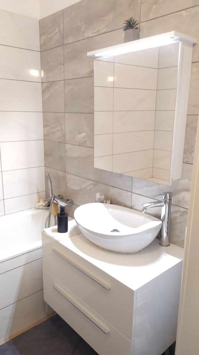 1 bedroom with open-plan kitchen flat to rent, 60 m², Na Břehu, Prague, Prague 1 bedroom with open-plan kitchen flat to rent, 60 m², Na Břehu, Prague, Prague