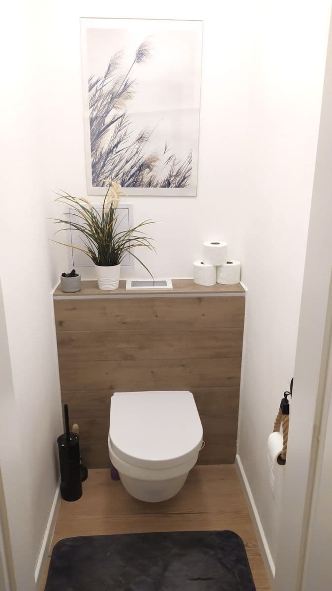 1 bedroom with open-plan kitchen flat to rent, 60 m², Na Břehu, Prague, Prague 1 bedroom with open-plan kitchen flat to rent, 60 m², Na Břehu, Prague, Prague