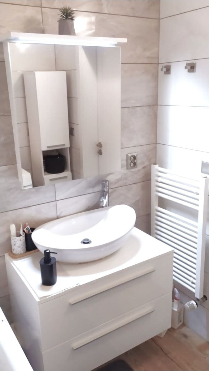 1 bedroom with open-plan kitchen flat to rent, 60 m², Na Břehu, Prague, Prague 1 bedroom with open-plan kitchen flat to rent, 60 m², Na Břehu, Prague, Prague