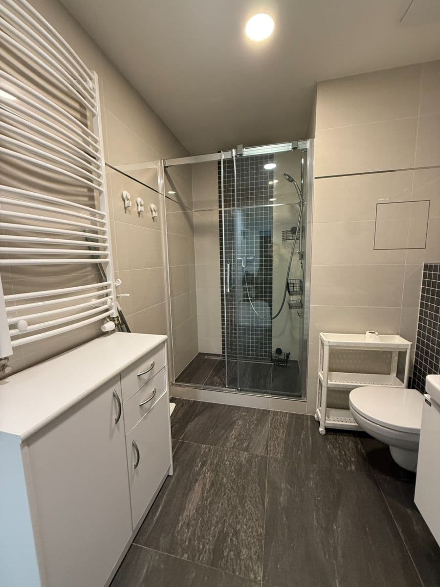 Studio flat to rent, 38 m², Mantovská, Prague, Prague Studio flat to rent, 38 m², Mantovská, Prague, Prague