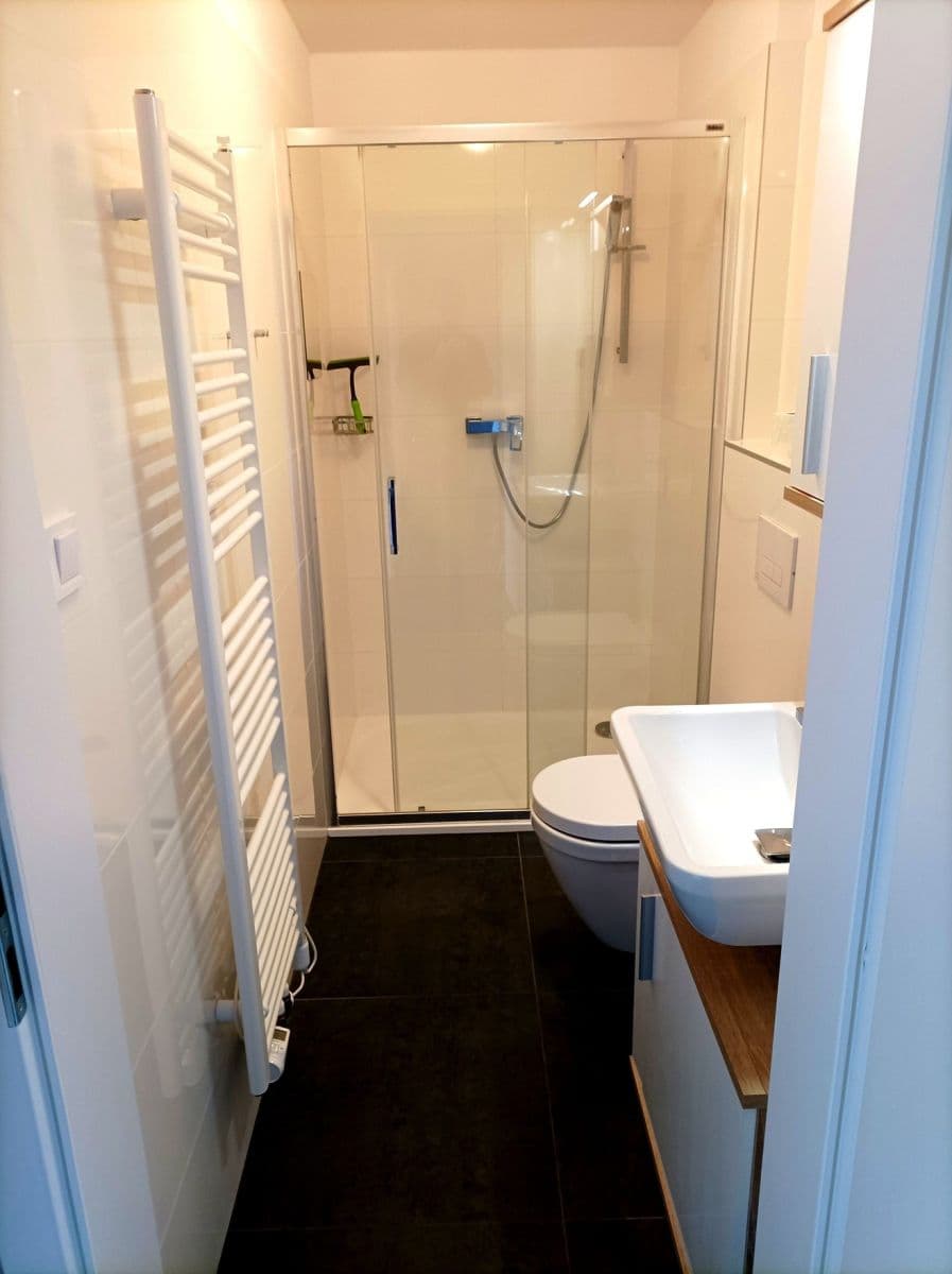 1 bedroom with open-plan kitchen flat to rent, 40 m², Karla IV., Horoměřice, Středočeský Region 1 bedroom with open-plan kitchen flat to rent, 40 m², Karla IV., Horoměřice, Středočeský Region