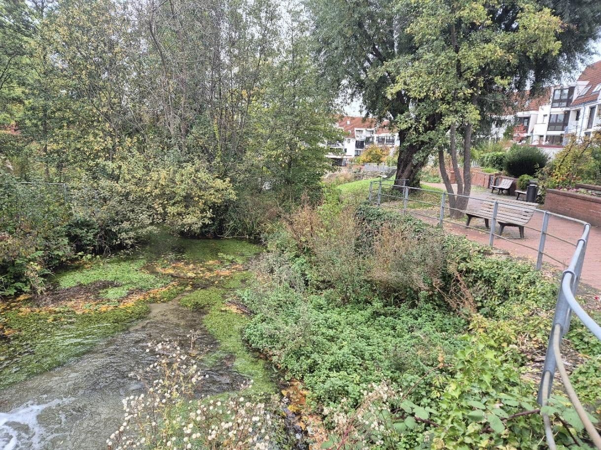 1 bedroom with open-plan kitchen flat for sale, 68 m², Große Heerstraße 22, Pfullingen, Baden-Württemberg 1 bedroom with open-plan kitchen flat for sale, 68 m², Große Heerstraße 22, Pfullingen, Baden-Württemberg