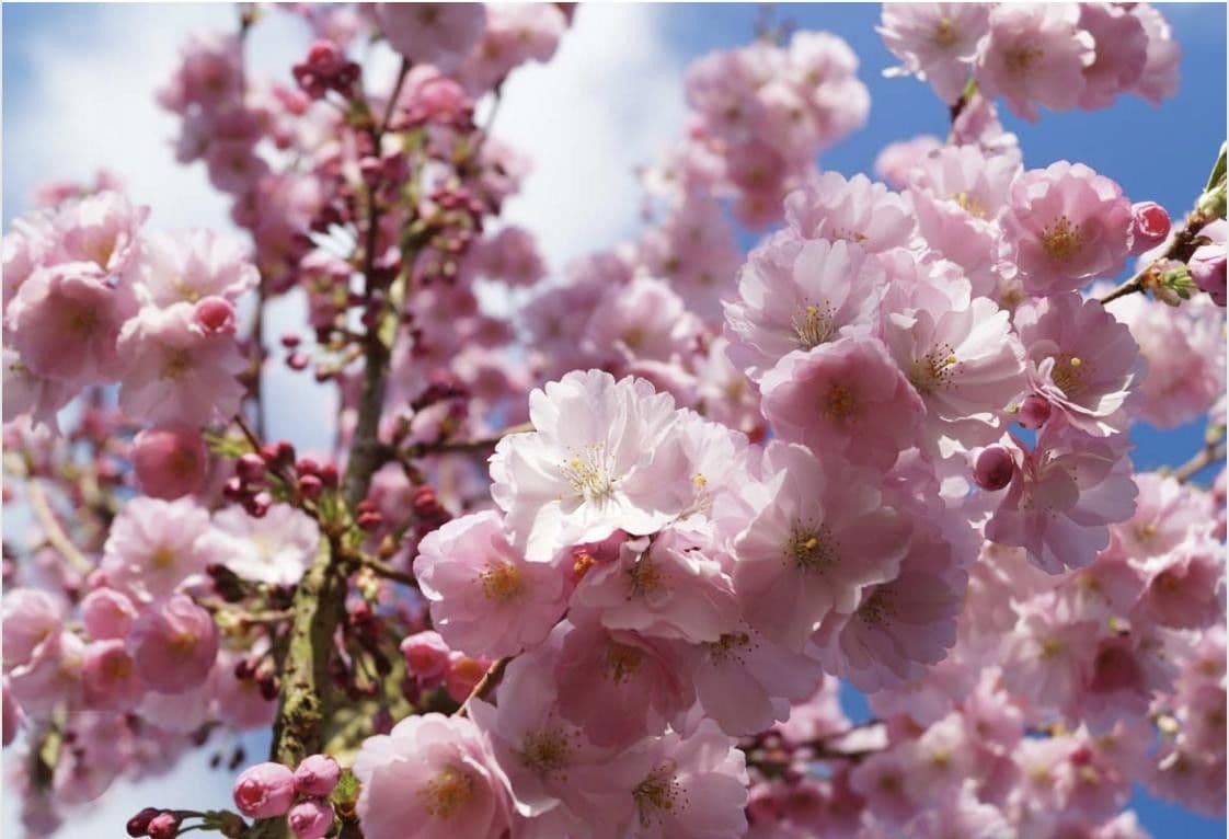 house to rent, 130 m², München, Bavaria house to rent, 130 m², München, Bavaria