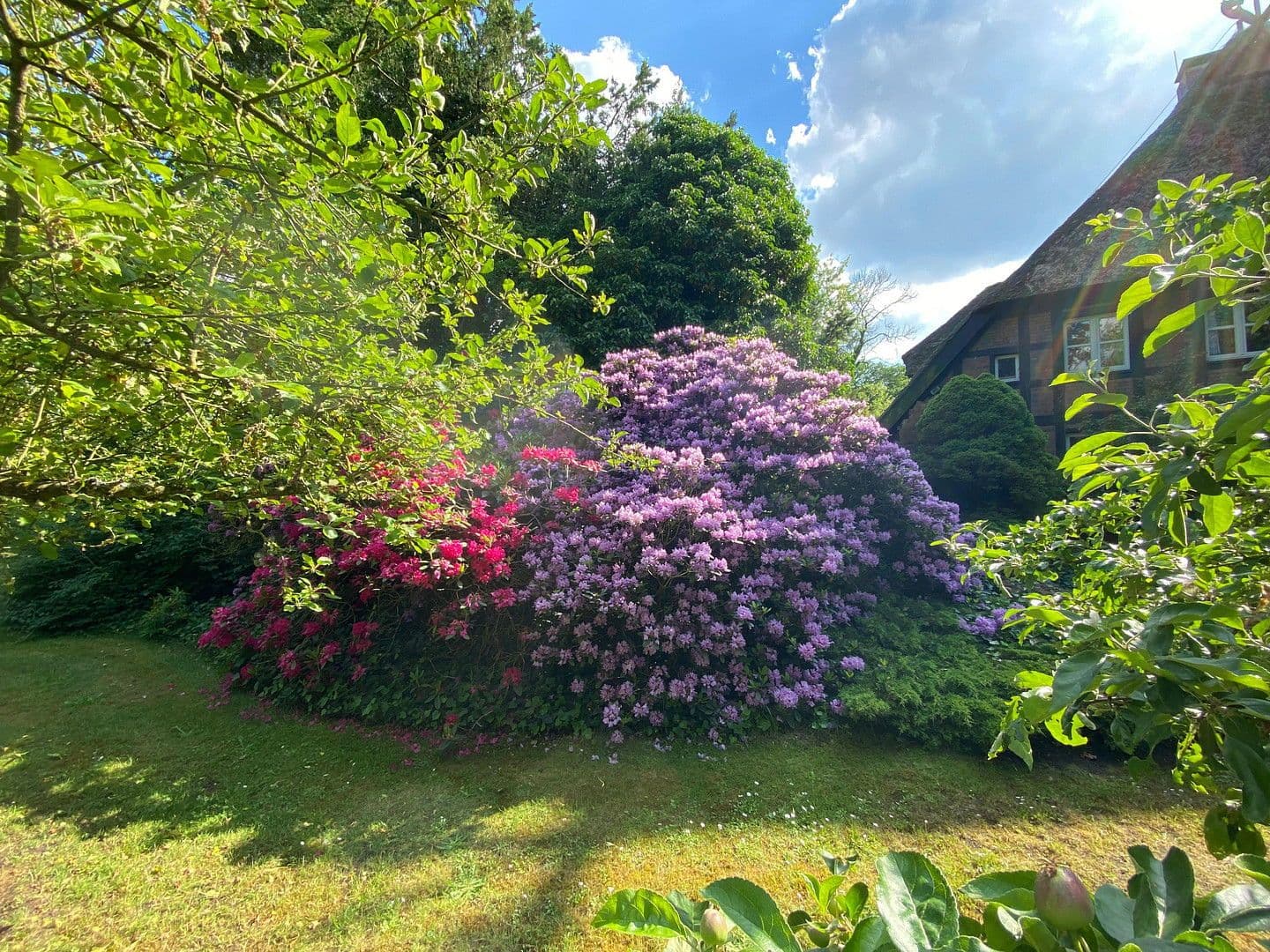 house for sale, 683 m², Bleckede, Lower Saxony house for sale, 683 m², Bleckede, Lower Saxony