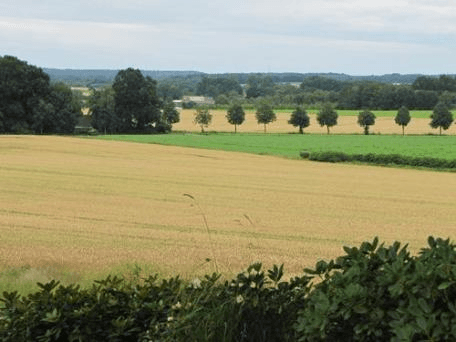 4 bedroom flat to rent, 135 m², Friedrichshöhe 1, Bienenbüttel, Lower Saxony 4 bedroom flat to rent, 135 m², Friedrichshöhe 1, Bienenbüttel, Lower Saxony