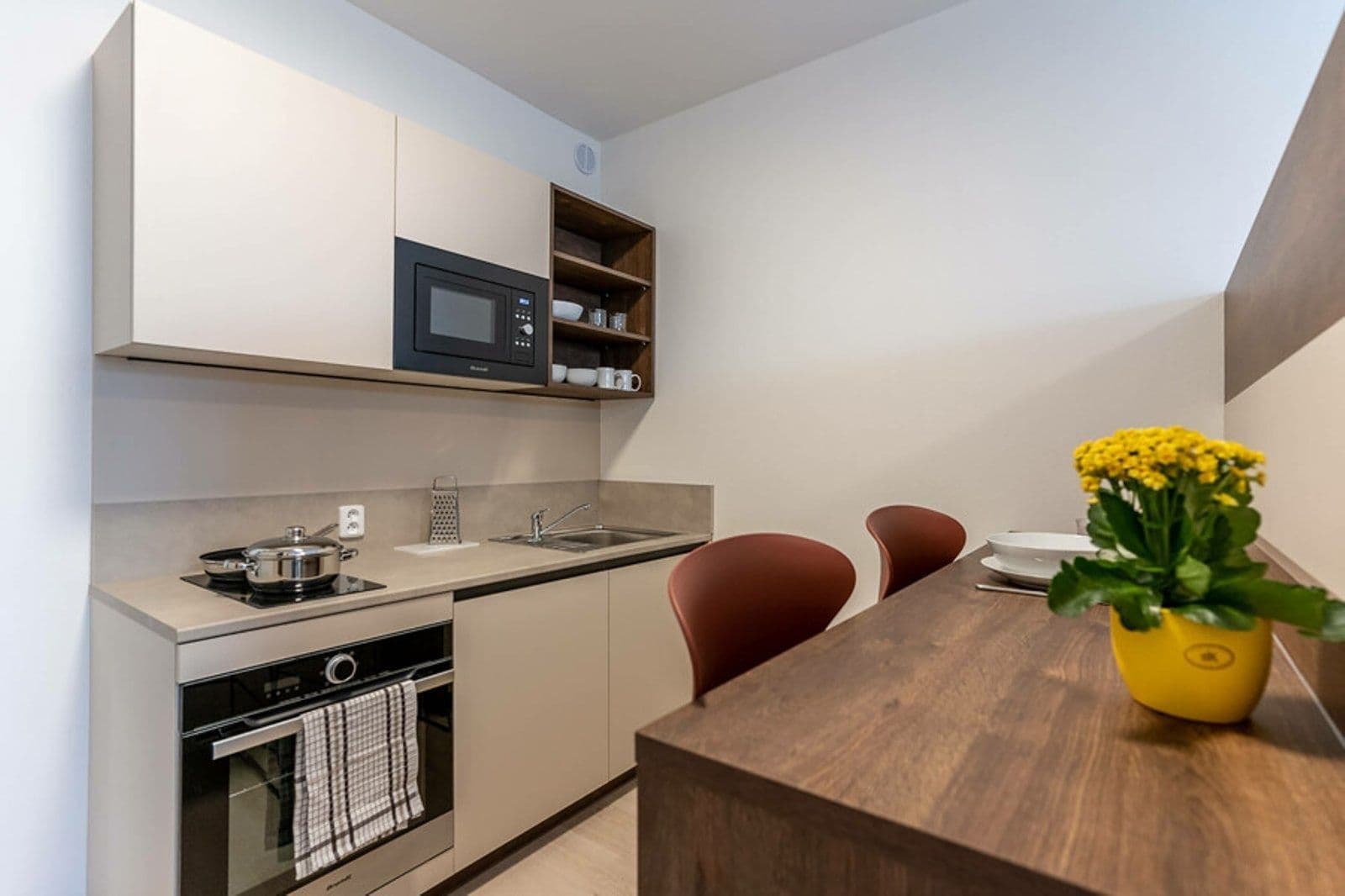 Studio flat to rent, 27 m², Magisterská, Plzeň, Plzeňský Region Studio flat to rent, 27 m², Magisterská, Plzeň, Plzeňský Region