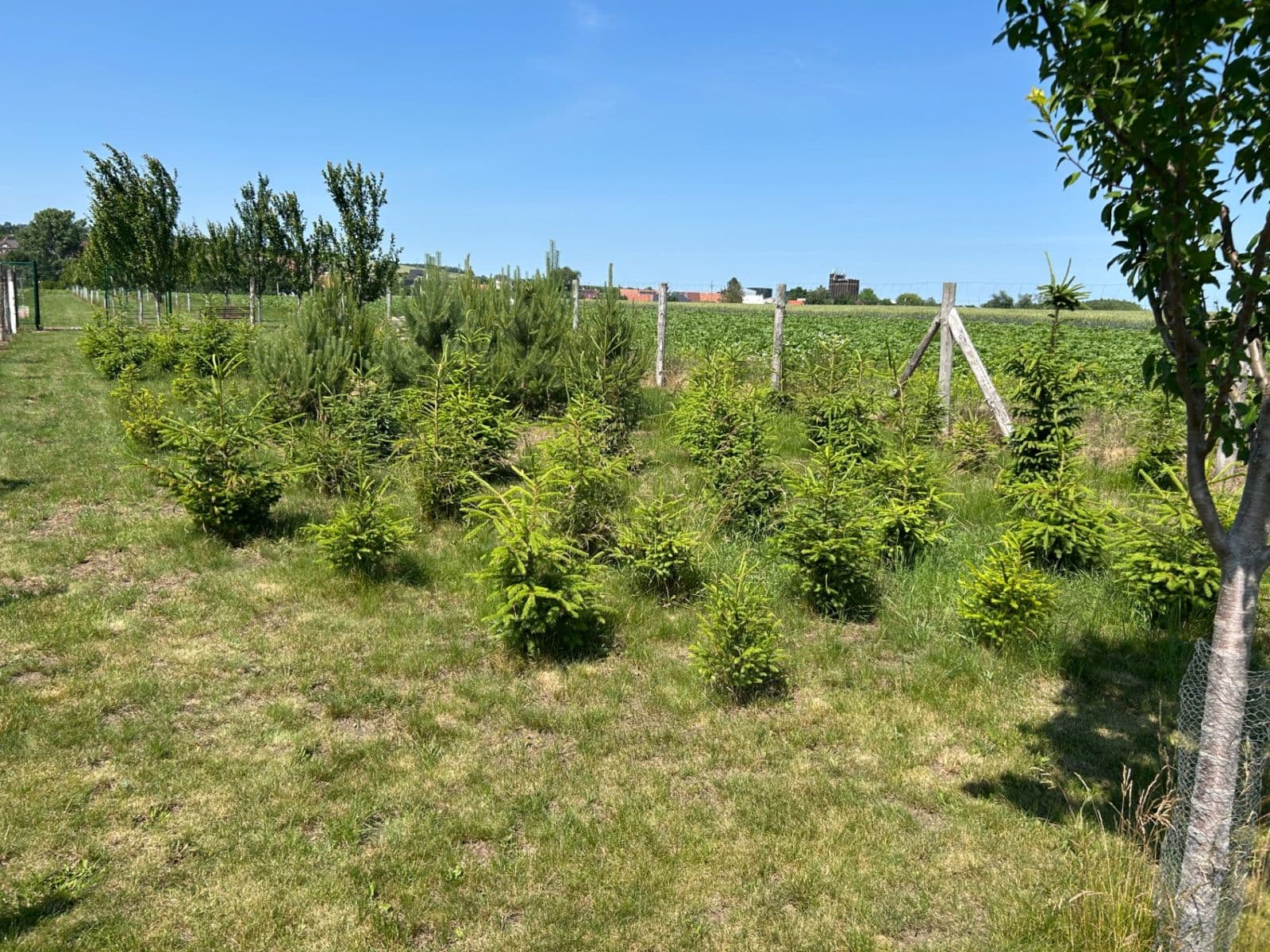 plot for sale, 2,899 m², Dolní Němčí, Zlínský Region plot for sale, 2,899 m², Dolní Němčí, Zlínský Region