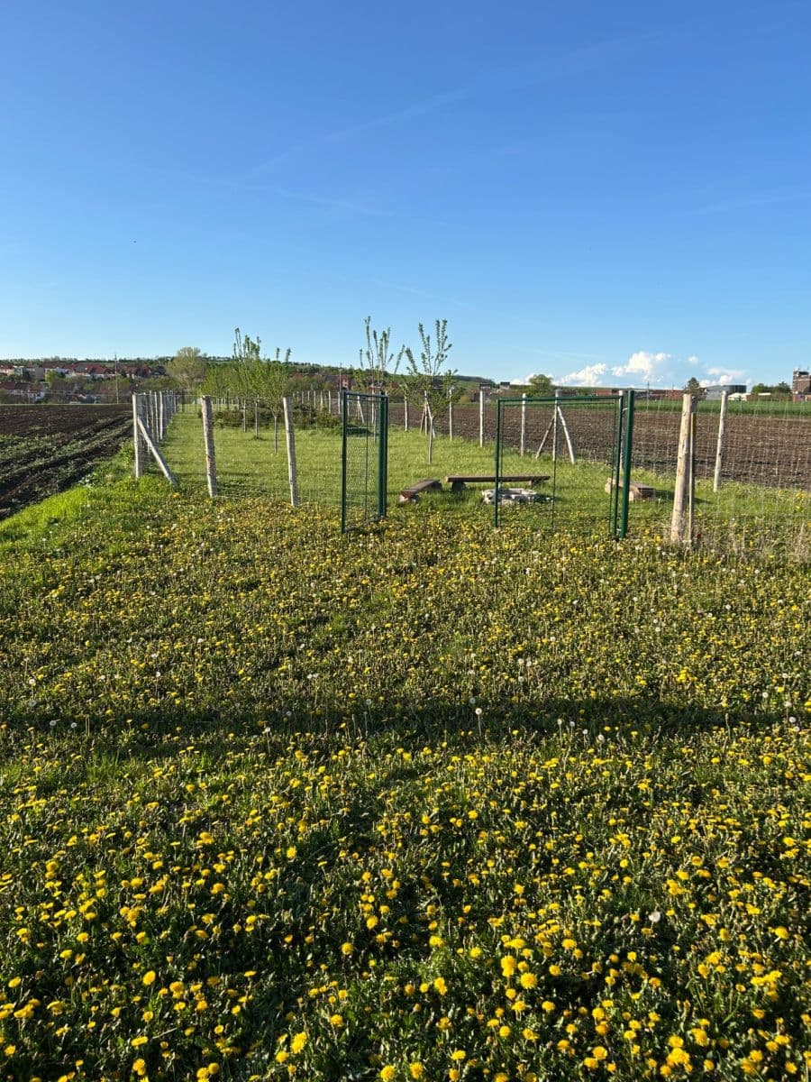 plot for sale, 2,899 m², Dolní Němčí, Zlínský Region plot for sale, 2,899 m², Dolní Němčí, Zlínský Region