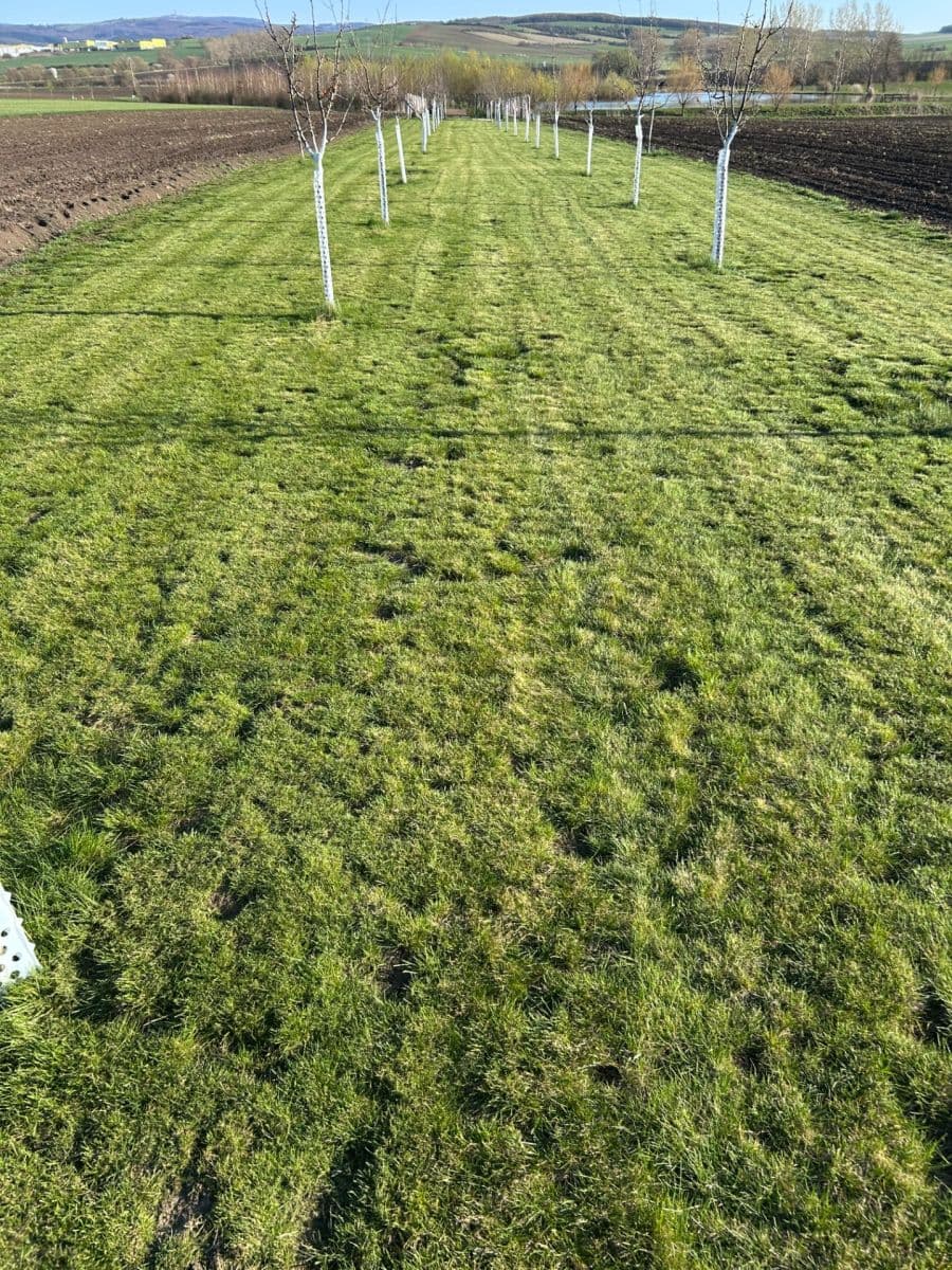 plot for sale, 2,899 m², Dolní Němčí, Zlínský Region plot for sale, 2,899 m², Dolní Němčí, Zlínský Region