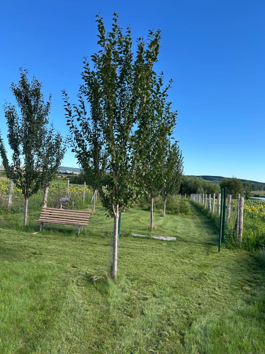 plot for sale, 2,899 m², Dolní Němčí, Zlínský Region plot for sale, 2,899 m², Dolní Němčí, Zlínský Region