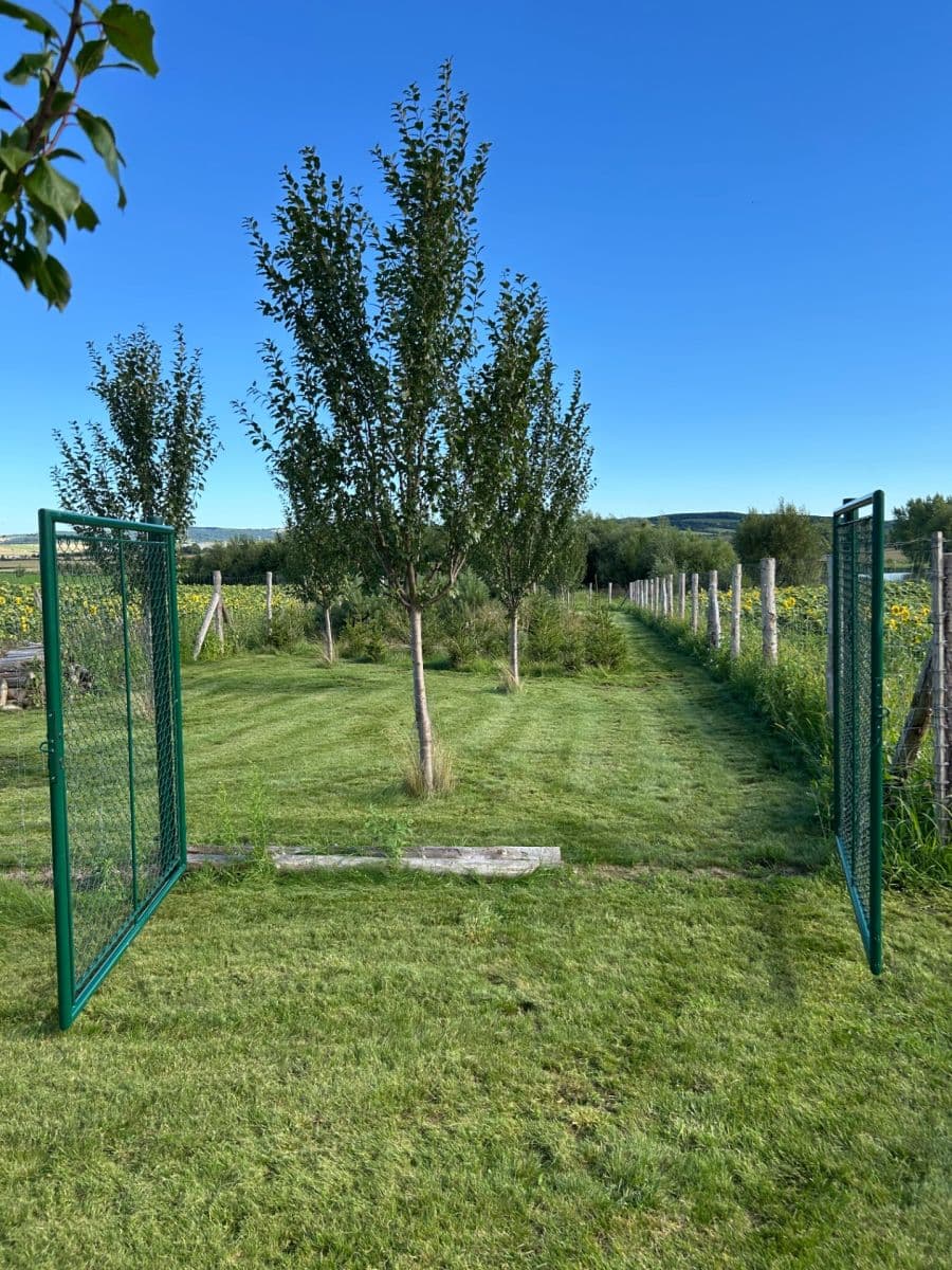 plot for sale, 2,899 m², Dolní Němčí, Zlínský Region plot for sale, 2,899 m², Dolní Němčí, Zlínský Region