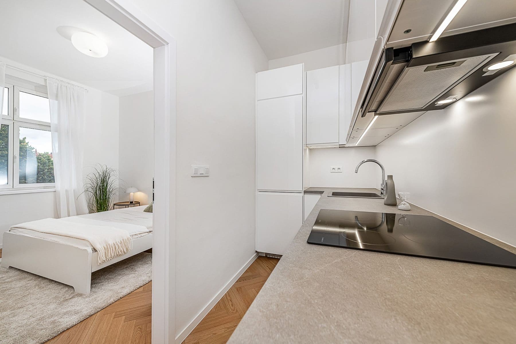 1 bedroom with open-plan kitchen flat for sale, 49 m², Přemyslovská, Prague, Prague 1 bedroom with open-plan kitchen flat for sale, 49 m², Přemyslovská, Prague, Prague