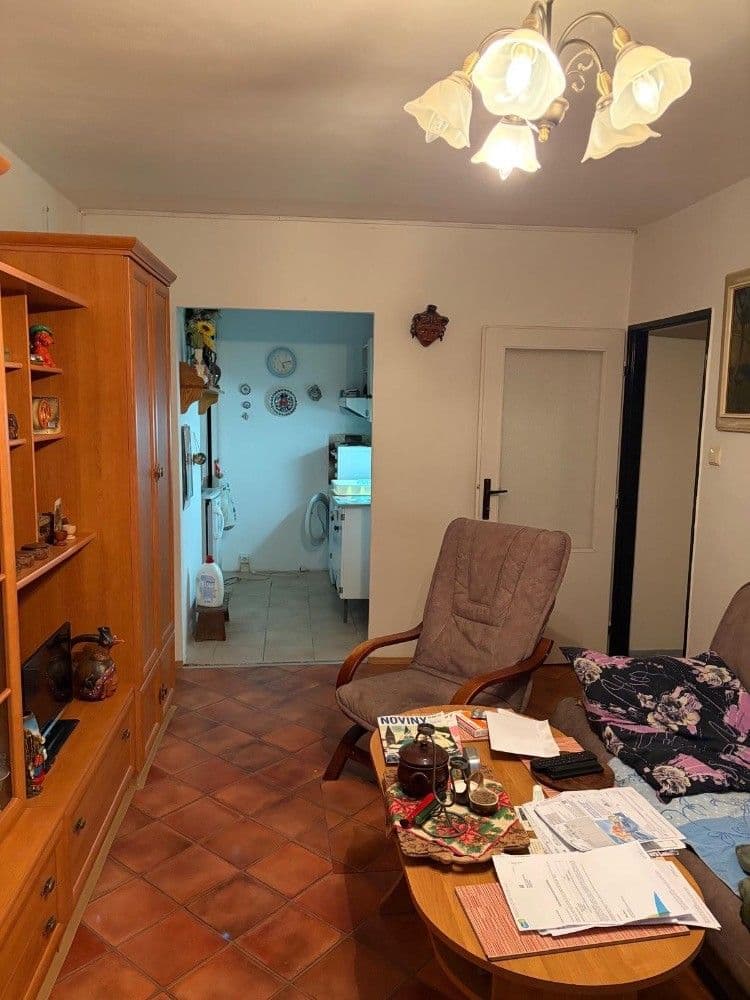 1 bedroom with open-plan kitchen flat for sale, 43 m², Zimova, Prague, Prague 1 bedroom with open-plan kitchen flat for sale, 43 m², Zimova, Prague, Prague