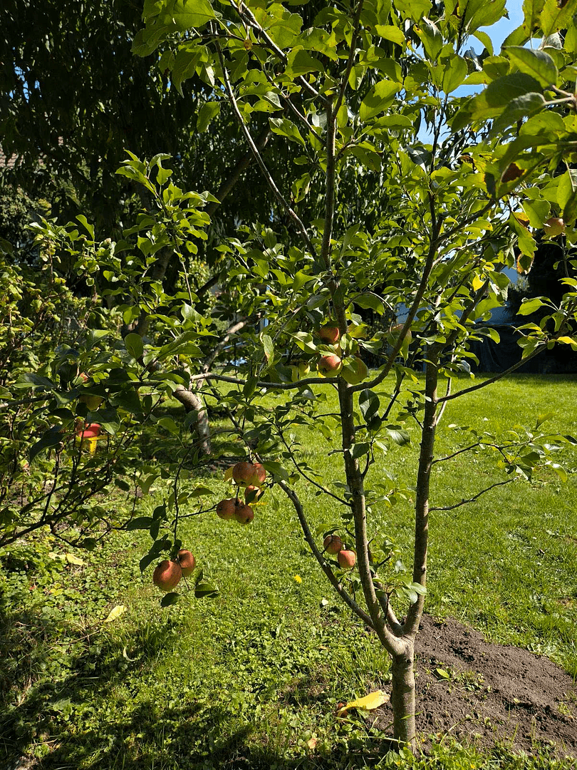 house for sale, 160 m², Hermann-Strebel-Str. 11, Nürnberg, Bavaria house for sale, 160 m², Hermann-Strebel-Str. 11, Nürnberg, Bavaria