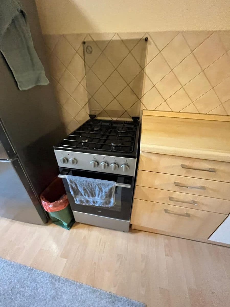 1 bedroom with open-plan kitchen flat for sale, 50 m², U Kaštanu, Prague, Prague 1 bedroom with open-plan kitchen flat for sale, 50 m², U Kaštanu, Prague, Prague