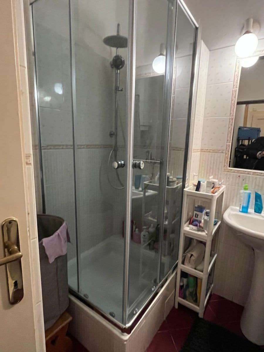 1 bedroom with open-plan kitchen flat for sale, 50 m², U Kaštanu, Prague, Prague 1 bedroom with open-plan kitchen flat for sale, 50 m², U Kaštanu, Prague, Prague