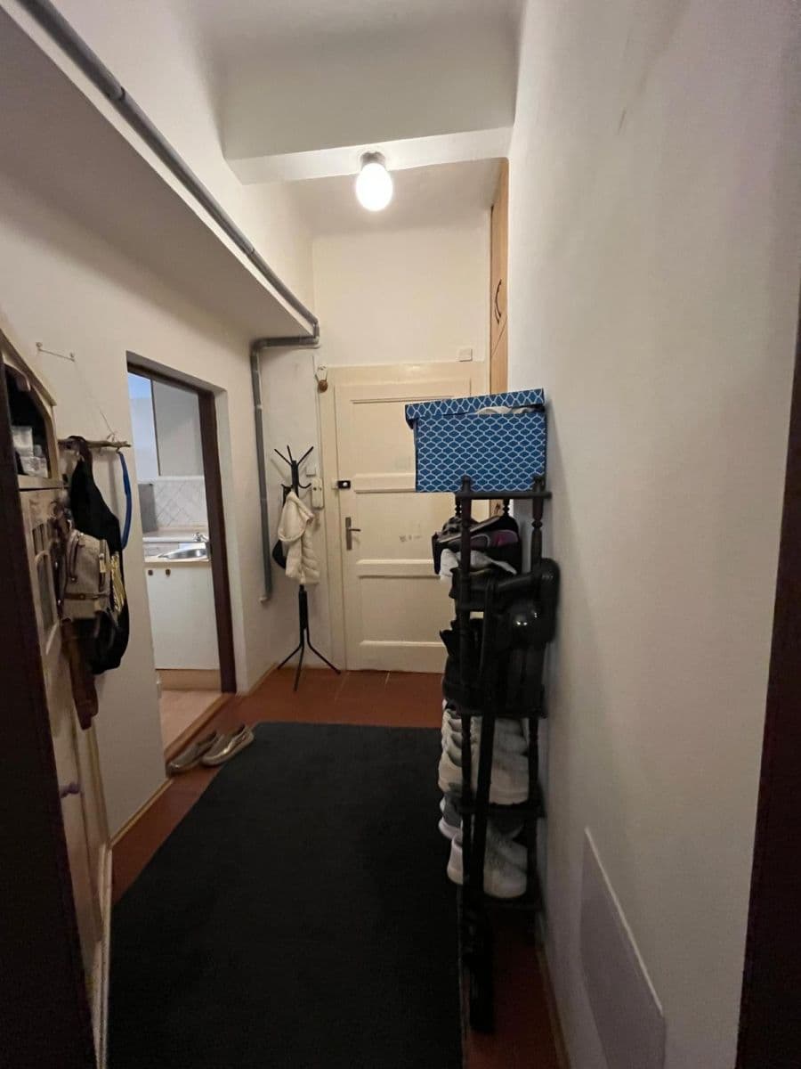 1 bedroom with open-plan kitchen flat for sale, 50 m², U Kaštanu, Prague, Prague 1 bedroom with open-plan kitchen flat for sale, 50 m², U Kaštanu, Prague, Prague