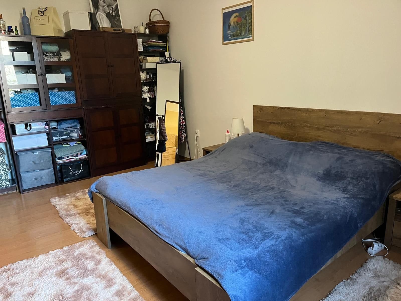 1 bedroom with open-plan kitchen flat for sale, 50 m², U Kaštanu, Prague, Prague 1 bedroom with open-plan kitchen flat for sale, 50 m², U Kaštanu, Prague, Prague