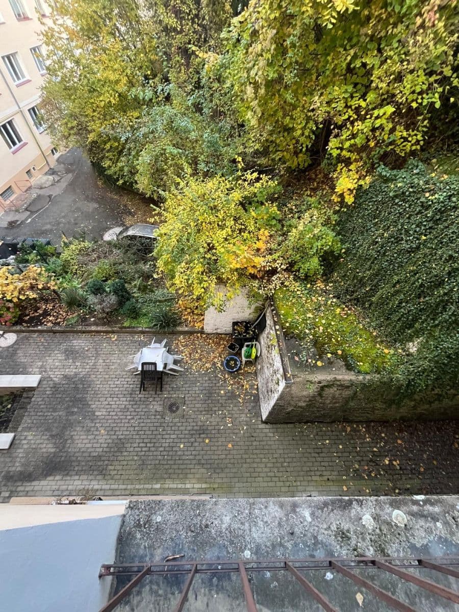 1 bedroom with open-plan kitchen flat for sale, 50 m², U Kaštanu, Prague, Prague 1 bedroom with open-plan kitchen flat for sale, 50 m², U Kaštanu, Prague, Prague