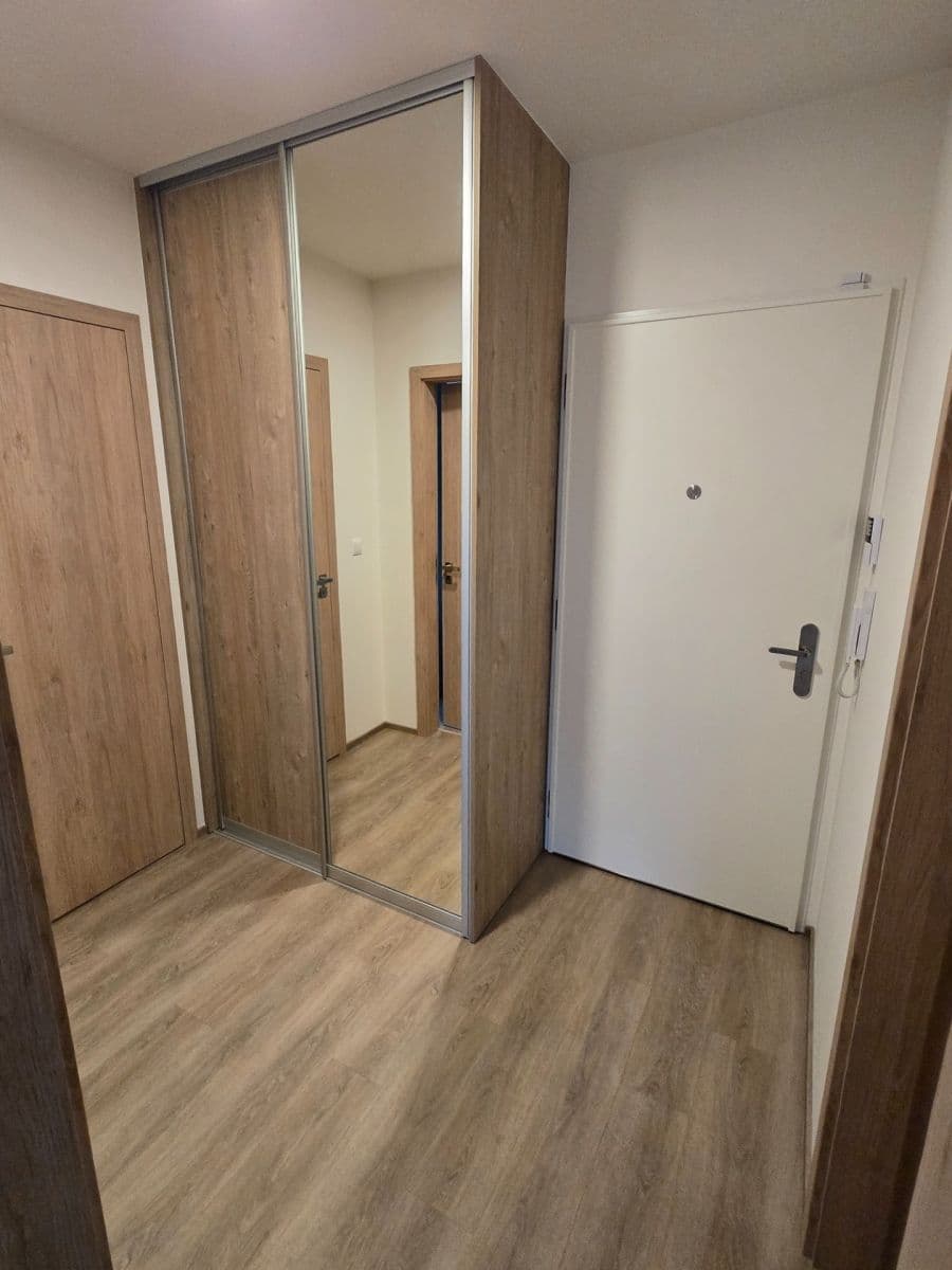 1 bedroom with open-plan kitchen flat to rent, 52 m², Klapálkova, Prague, Prague 1 bedroom with open-plan kitchen flat to rent, 52 m², Klapálkova, Prague, Prague