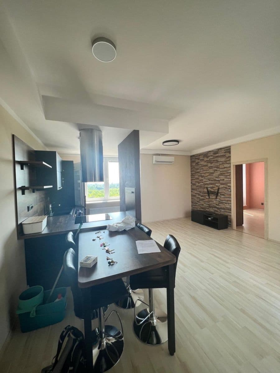 1 bedroom with open-plan kitchen flat for sale, 88 m², U Leskavy, Brno, Jihomoravský Region 1 bedroom with open-plan kitchen flat for sale, 88 m², U Leskavy, Brno, Jihomoravský Region