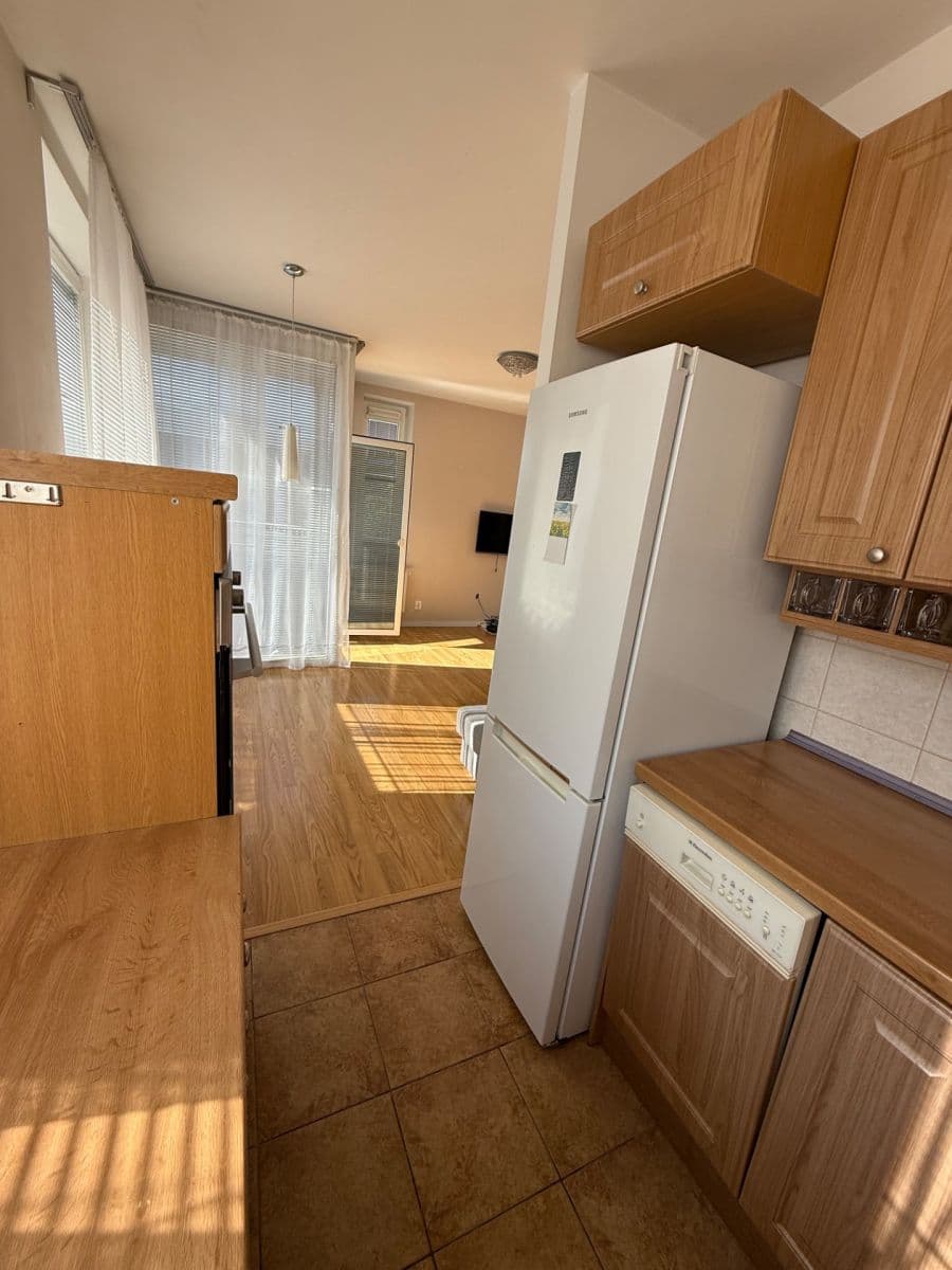 1 bedroom with open-plan kitchen flat to rent, 56 m², Pastevců, Prague, Prague 1 bedroom with open-plan kitchen flat to rent, 56 m², Pastevců, Prague, Prague