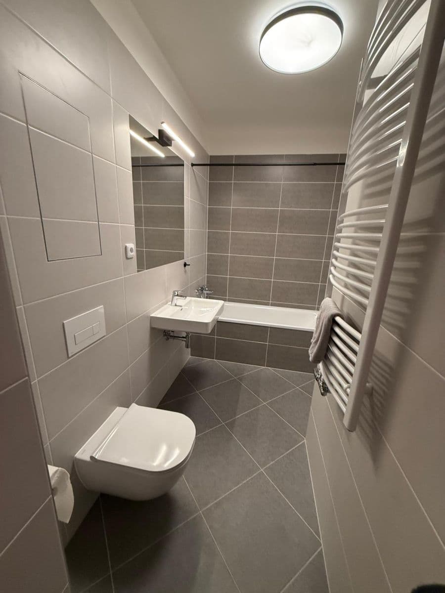 1 bedroom with open-plan kitchen flat to rent, 55 m², Čakovická, Prague, Prague 1 bedroom with open-plan kitchen flat to rent, 55 m², Čakovická, Prague, Prague