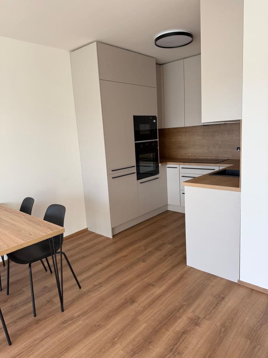 1 bedroom with open-plan kitchen flat to rent, 55 m², Čakovická, Prague, Prague 1 bedroom with open-plan kitchen flat to rent, 55 m², Čakovická, Prague, Prague