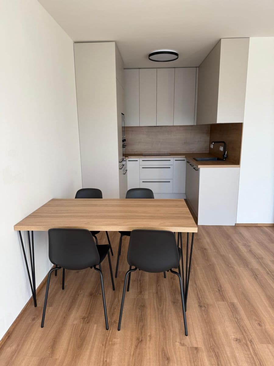 1 bedroom with open-plan kitchen flat to rent, 55 m², Čakovická, Prague, Prague 1 bedroom with open-plan kitchen flat to rent, 55 m², Čakovická, Prague, Prague