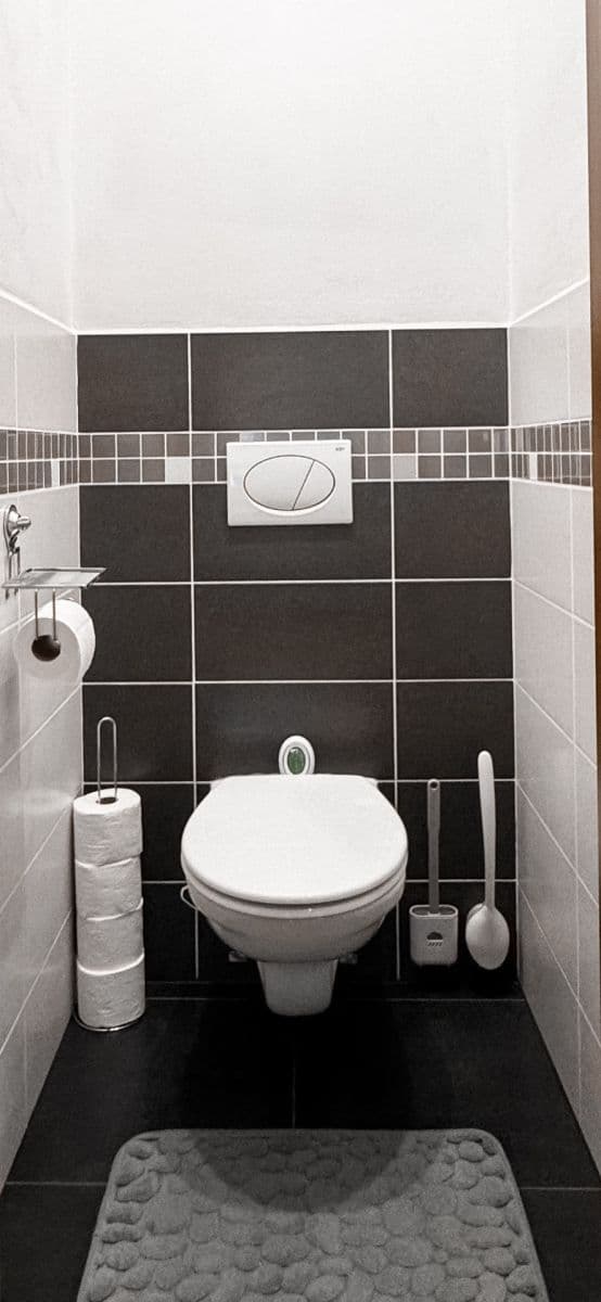 1 bedroom with open-plan kitchen flat to rent, 54 m², Holandská, Prague, Prague 1 bedroom with open-plan kitchen flat to rent, 54 m², Holandská, Prague, Prague