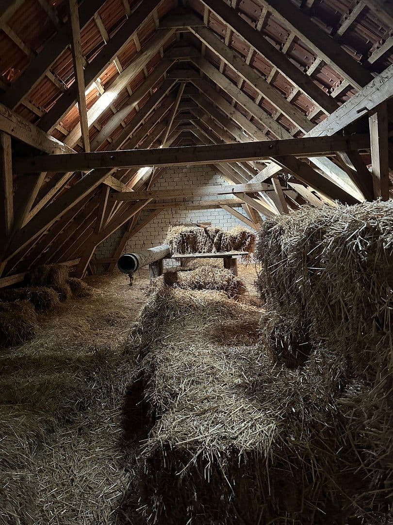 house for sale, 144 m², Brockum, Lower Saxony house for sale, 144 m², Brockum, Lower Saxony