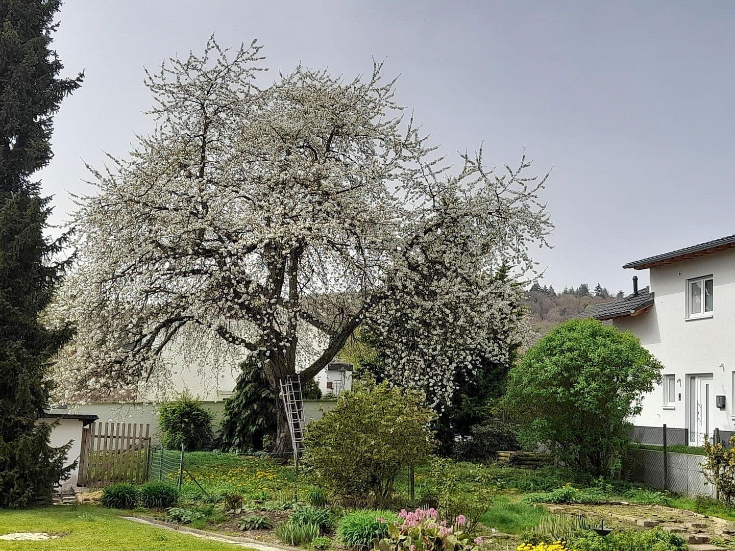 house for sale, 180 m², Marburg, Hesse house for sale, 180 m², Marburg, Hesse